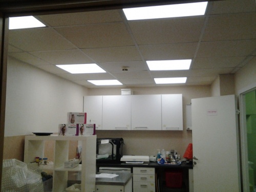 Поставка и монтаж потолочных светодиодных светильников в ветеринарной клинике
